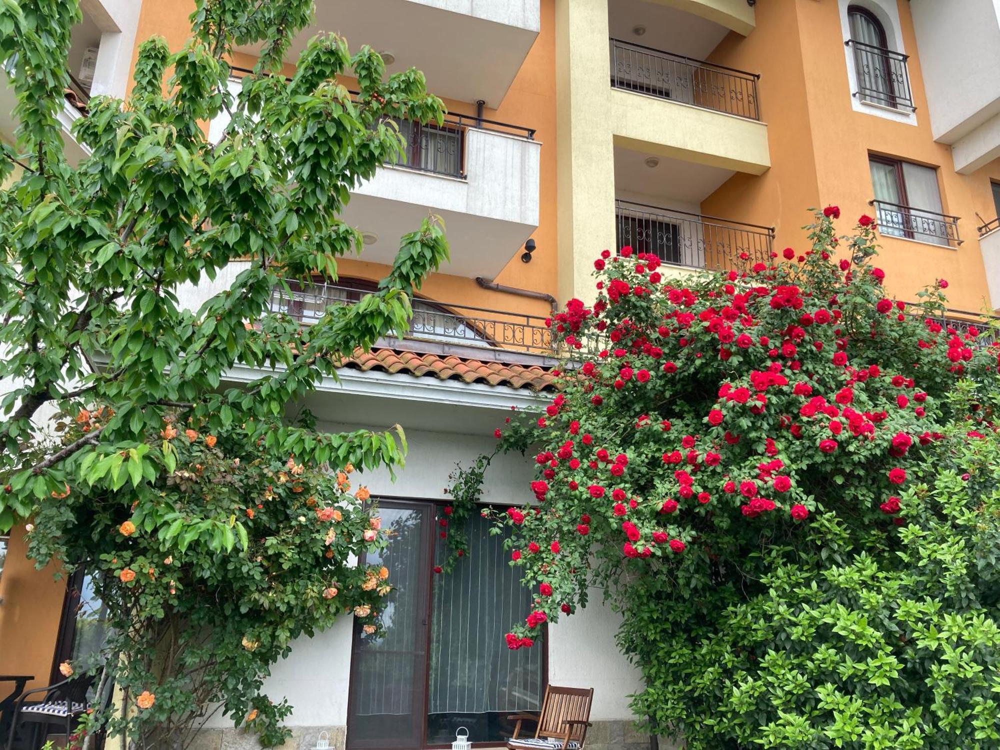אהלוי Аpartments Comfort -Marina Cape מראה חיצוני תמונה